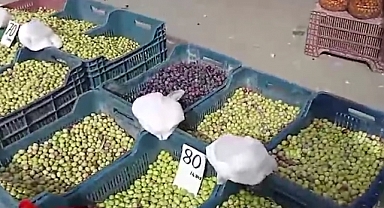 İklim Değişikliği Zeytini de Vurdu. Zeytin Fiyatları Arttı 