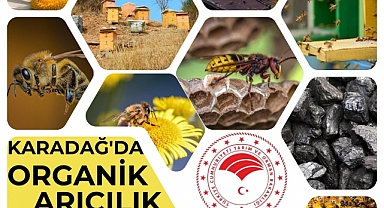 Karadağ'da Organik Arıcılık Gelişiyor