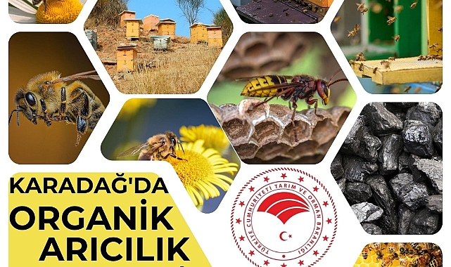 Karadağ'da Organik Arıcılık Gelişiyor