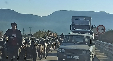 Karaman'da Yörüklerin Göçü Başladı