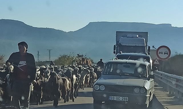 Karaman'da Yörüklerin Göçü Başladı
