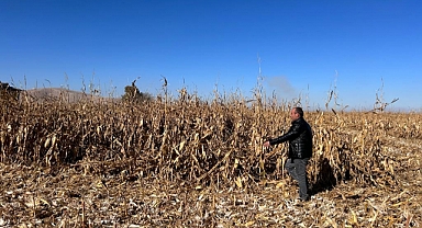 Kuvvetli rüzgar ve fırtınadan zarar gören alanlarda incelemeler yapıldı