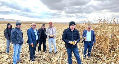 Şiddetli Rüzgar, Mısırlara Zarar Verdi