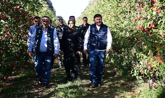 Vali Sarıibrahim, Türkiye’nin en büyük elma bahçesini gezdi