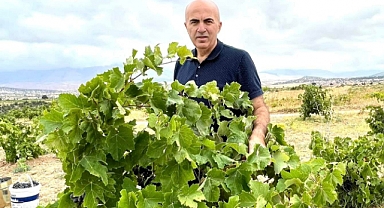 Bayram: Tarımı Terk Edemeyiz, Tarım Ürünlerinin Üretiminden Vazgeçemeyiz