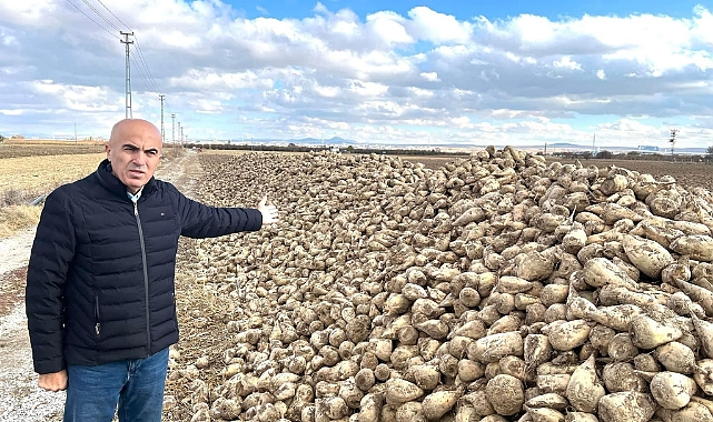 Geçen Yıl Yaklaşık 400 Bin Ton Civarında Üretim Olan  KARAMAN BU YIL 560 BİN TON PANCAR ÜRETİMİ İLE REKOR KIRDI