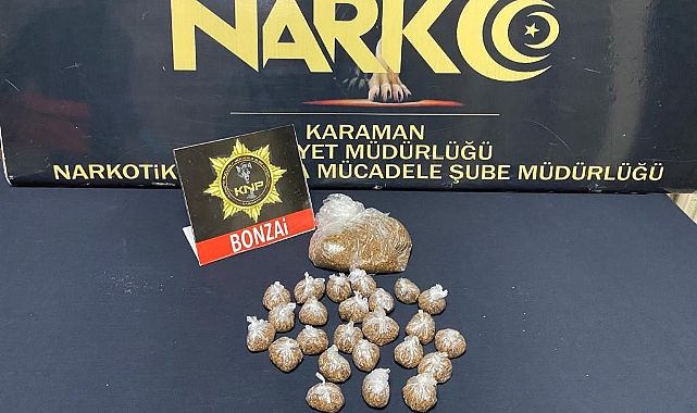 Karaman'da uyuşturucu operasyonunda 1 şüpheli tutuklandı