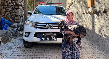Kayıp hayvan AFAD ekiplerince bulundu