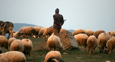 Kazımkarabekir’de Sürü Yönetimi Elemanı Kursu