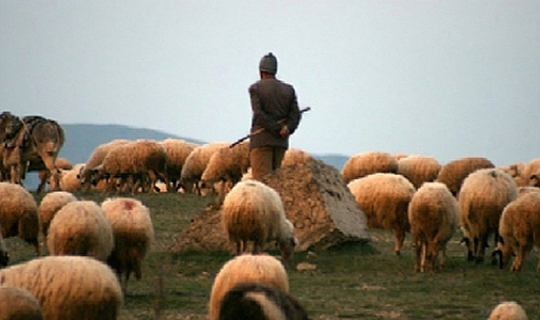 Kazımkarabekir’de Sürü Yönetimi Elemanı Kursu