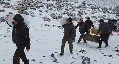 DKMP yaban hayvanlarını unutmadı