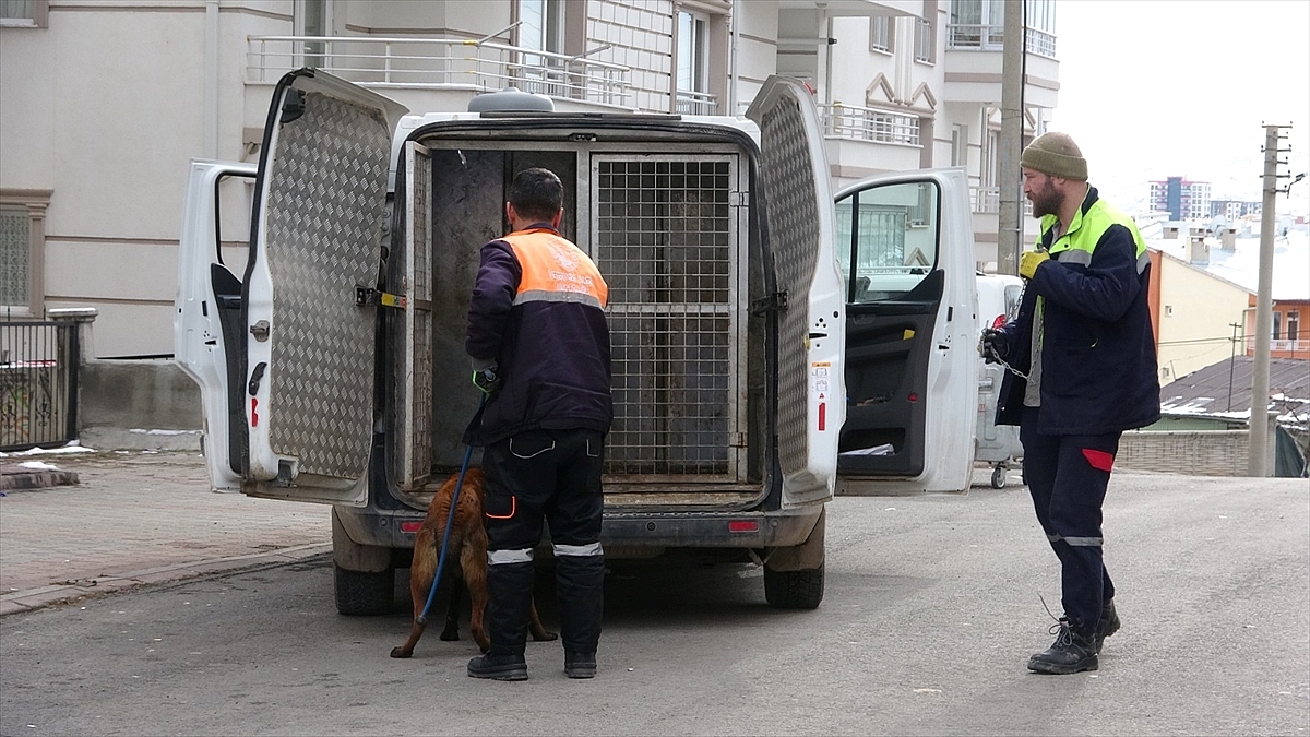 Köpeğin saldırdığı 2'si çocuk, 4 kişi yaralandı
