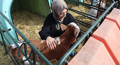 2020 Yılında Gebe Düve Desteği İle Başlayan Hikaye