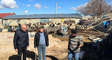 Ahırın çatısı çöktü. 20 koyun telef oldu