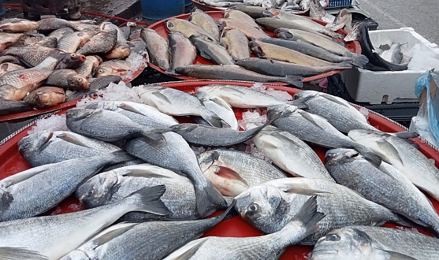 Balık Fiyatları Uçuşa Geçti