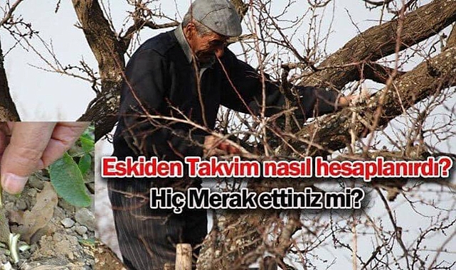Eskiden Takvim Nasıl Hesaplanırdı? Hiç Merak Ettiniz Mi?
