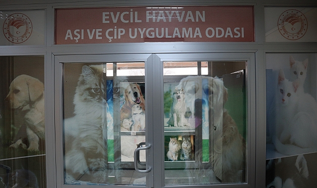 Evcil Hayvan Aşı ve Çip Uygulama Odası Hizmete Girdi