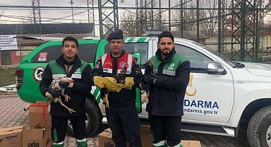 Horoz dövüşüne ilişkin yakalanan 7 kişiye 81 bin 851 lira ceza verildi