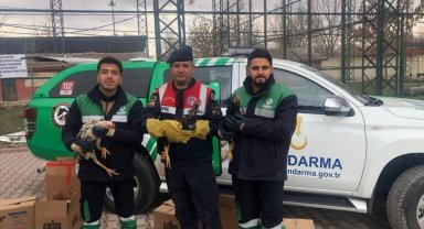 Horoz dövüşüne ilişkin yakalanan 7 kişiye 81 bin 851 lira ceza verildi