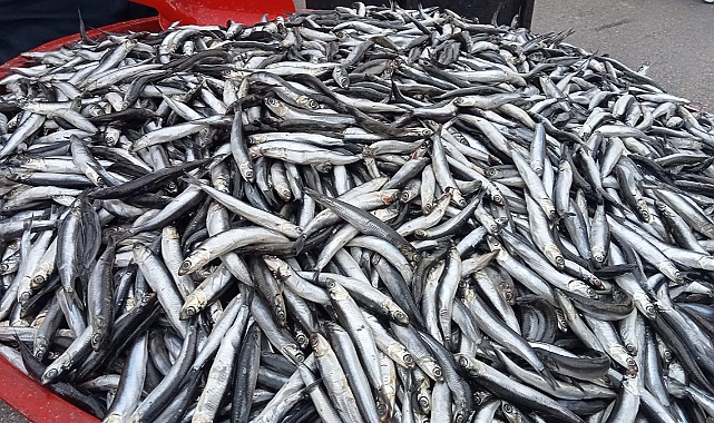 Karaman’da Balık Fiyatları Arttı