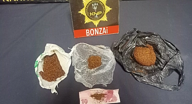 Karaman’da bonzai ile yakalanan 2 kişi tutuklandı