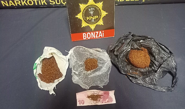 Karaman’da bonzai ile yakalanan 2 kişi tutuklandı