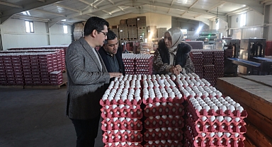 Karaman'da Günlük 400 Bin Yumurta Üreten işletme Ortadoğu ülkelerine ihracat yapıyor