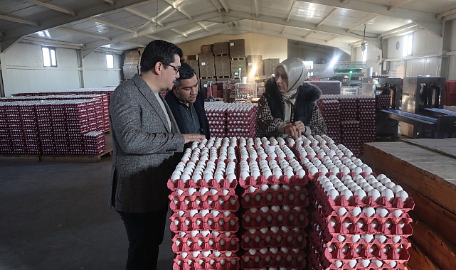 Karaman'da Günlük 400 Bin Yumurta Üreten işletme Ortadoğu ülkelerine ihracat yapıyor