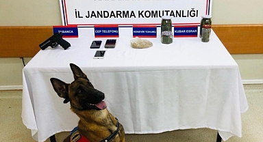 Narkotik Köpeği Erek, Esrar ve Keneviri Koklayarak Buldu