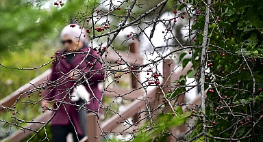 Son 53 yılın en sıcak ocak ayı yaşandı