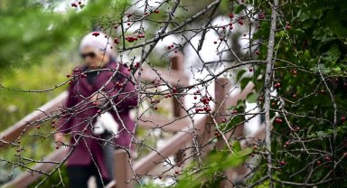 Son 53 yılın en sıcak ocak ayı yaşandı