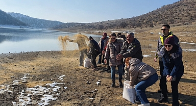 Su kuşlarına yem bırakıldı