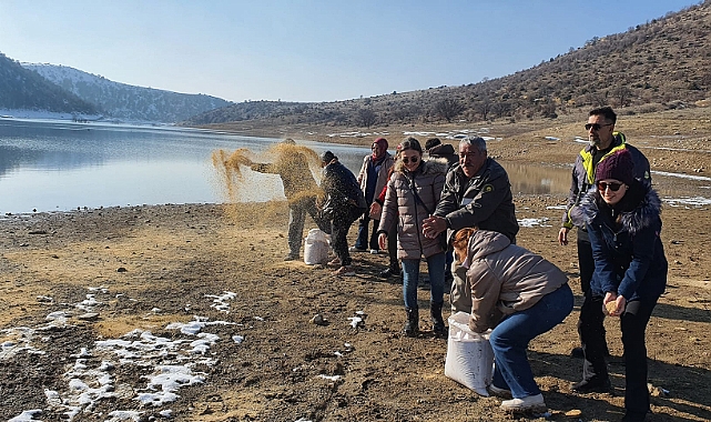 Su kuşlarına yem bırakıldı