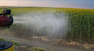 Tarımda bilinçsiz azot kullanımı insan ve çevre sağlığını tehdit ediyor