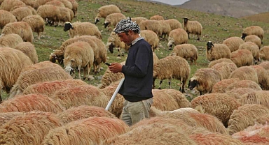 Bayram: Afgan uyruklu tarım işçilerinin işverenlerden talep ettiği keyfi maaş masrafı kabul edilemez
