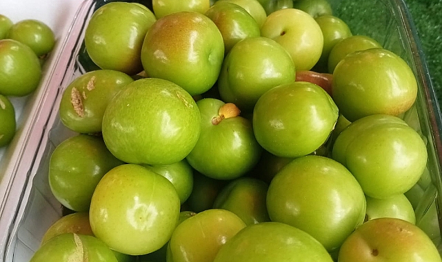 Çağla ve can erik piyasaya çıktı
