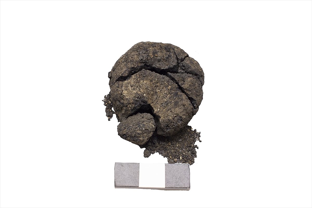 Çatalhöyük'te 8 bin 600 yıllık "ekmek" bulundu
