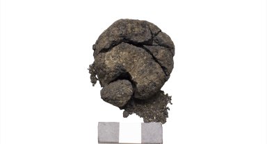 Çatalhöyük'te 8 bin 600 yıllık "ekmek" bulundu