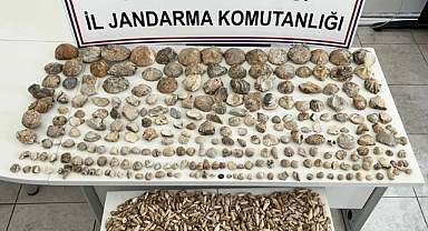 Jandarmadan Fosil Kaçakçılığı Operasyonu