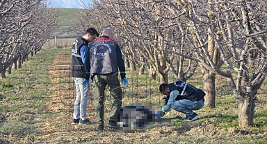 Karaman'da bir kişi bahçede ölü bulundu