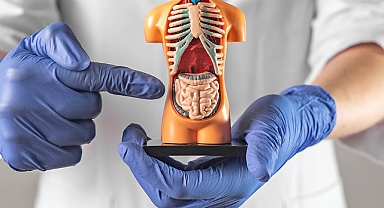 Kolorektal (Kalın Bağırsak) Kanseri Farkındalık Ayı