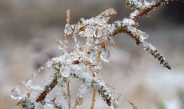 Meteoroloji'den Zirai Don Uyarısı!