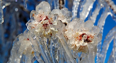 Meteoroloji Karaman İçin Zirai Don Uyarısında Bulundu