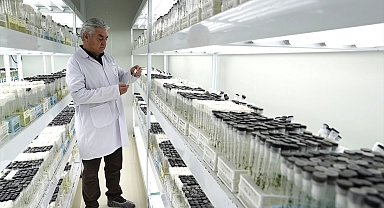 Ömrünü tohumculuğa adayan girişimci 23 çeşit yerli patates tohumunu tarıma kazandırdı