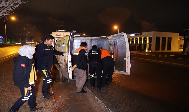 Otomobilin çarptığı köpeği ezilmekten 112 Acil Servis ekipleri kurtardı