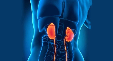 Türkiye'de böbrek yetmezliği vakaları artıyor