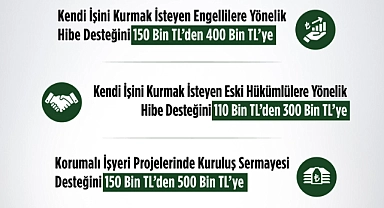Engellilere ve Eski Hükümlülere Yönelik Hibe Desteği