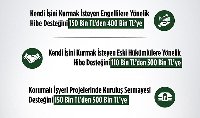 Engellilere ve Eski Hükümlülere Yönelik Hibe Desteği