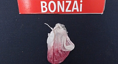 Karaman'da Bonzai Ele Geçirildi