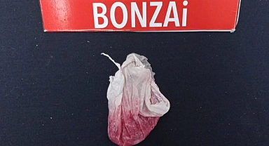 Karaman'da Bonzai Ele Geçirildi